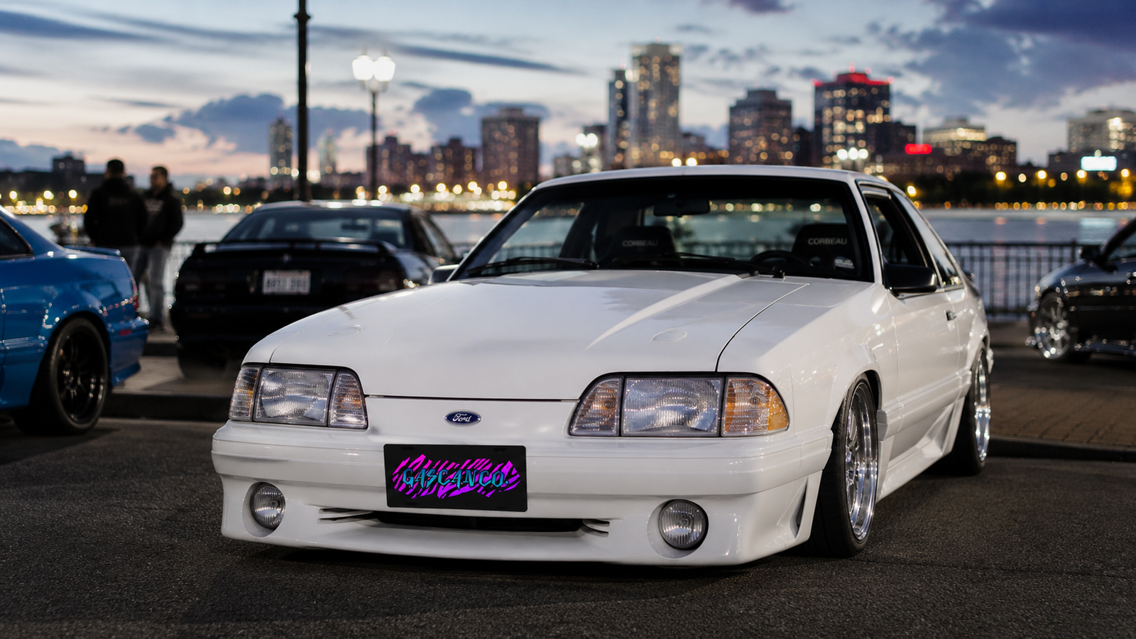 LICENSE PLATES