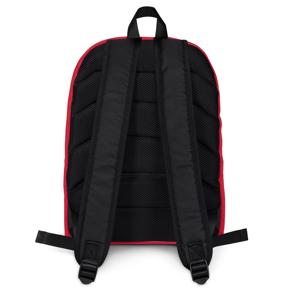 SUPER HERO BACK PACK