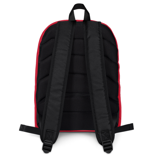 SUPER HERO BACK PACK